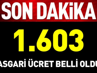 Asgari ücret ne kadar oldu? Bakan Sarıeroğlu açıkladı
