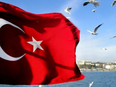Yurtdışında Yaşayan Türk Vatandaşlarının Çalışma Hayatına İlişkin Sorunları