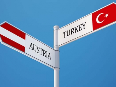 AVUSTURYA'DA ÇALIŞAN YA DA ÇALIŞMIŞ VATANDAŞLARIMIZIN SORUNLARI VE ÇÖZÜM ÖNERİLERİ