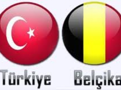 BELÇİKA'DA ÇALIŞAN YA DA ÇALIŞMIŞ VATANDAŞLARIMIZIN SORUNLARI VE ÇÖZÜM ÖNERİLERİ