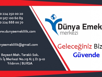 Yurtdışı Hizmet Borçlanması Kanunlarında Yapılan Değişiklikler Sonrası Gelinen Nokta