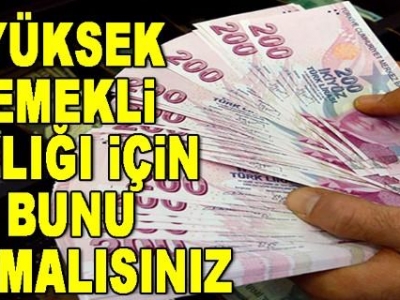 Emekli Maaşını Yükseltmenin Sihirli Formülü Var Mı ?